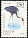 White-naped Crane Antigone vipio