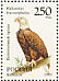 Bald Eagle Haliaeetus leucocephalus  1993 Fauna Sheet