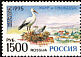 White Stork Ciconia ciconia  1995 Europa 