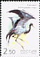 Demoiselle Crane Grus virgo  2002 Birds 
