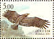 Greater Spotted Eagle Clanga clanga  2005 Fauna 4v sheet