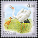 Siberian Crane Leucogeranus leucogeranus  2006 Fauna of Sakha 5v set