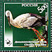 Oriental Stork Ciconia boyciana  2007 Fauna, with WWF logo 3v set