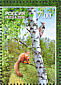White-backed Woodpecker Dendrocopos leucotos  2008 Forest fauna and flora 3v set