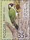 European Green Woodpecker Picus viridis  2018 Woodpeckers Sheet