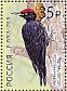 Black Woodpecker Dryocopus martius  2018 Woodpeckers Sheet