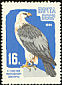 Bearded Vulture Gypaetus barbatus  1964 Moscow Zoo 7v set