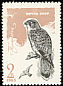 Common Kestrel Falco tinnunculus  1965 Birds of prey 