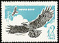 Golden Eagle Aquila chrysaetos  1965 Birds of prey 