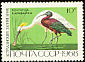 Glossy Ibis Plegadis falcinellus  1968 Fauna 6v set