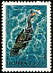 European Shag Gulosus aristotelis  1972 Sea birds 