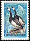 Barnacle Goose Branta leucopsis  1972 Sea birds 