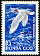 Mediterranean Gull Ichthyaetus melanocephalus  1972 Sea birds 