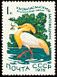 Eastern Cattle Egret Bubulcus coromandus  1976 Water birds 