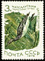 Black-throated Loon Gavia arctica  1976 Water birds 
