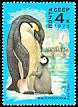 Emperor Penguin Aptenodytes forsteri