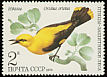 Eurasian Golden Oriole Oriolus oriolus  1979 Birds 
