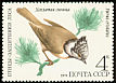 European Crested Tit Lophophanes cristatus  1979 Birds 
