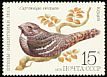 European Nightjar Caprimulgus europaeus  1979 Birds 