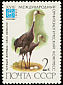 Hooded Crane Grus monacha  1982 International ornithological congress 