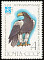 Steller's Sea Eagle Haliaeetus pelagicus  1982 International ornithological congress 