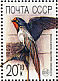 Barn Swallow Hirundo rustica  1989 Nature conservation  MS