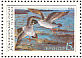 Common Goldeneye Bucephala clangula  1990 Ducks Sheet