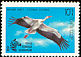 White Stork Ciconia ciconia  1991 Relief fund 