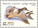 Greater Scaup Aythya marila  1991 Ducks Sheet