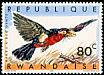 Double-toothed Barbet Lybius bidentatus  1967 Birds of Rwanda 