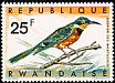 Cinnamon-chested Bee-eater Merops oreobates  1967 Birds of Rwanda 