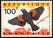 Fan-tailed Widowbird Euplectes axillaris  1967 Birds of Rwanda 