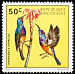 Variable Sunbird Cinnyris venustus  1972 Rwanda birds 