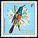 Northern Double-collared Sunbird Cinnyris reichenowi  1972 Rwanda birds 