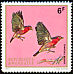 Red-billed Firefinch Lagonosticta senegala  1972 Rwanda birds 