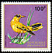 African Golden Oriole Oriolus auratus  1972 Rwanda birds 