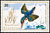 Malachite Kingfisher Corythornis cristatus  1975 Aquatic birds 