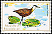 African Jacana Actophilornis africanus