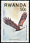 African Fish Eagle Haliaeetus vocifer  1977 Birds of prey 