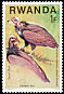 Hooded Vulture Necrosyrtes monachus  1977 Birds of prey 