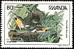 Eastern Meadowlark Sturnella magna  1985 Audubon 