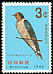 Pacific Swallow Hirundo tahitica  1966 Bird week 