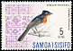 Samoan Flycatcher Myiagra albiventris  1967 Birds 