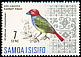 Red-headed Parrotfinch Erythrura cyaneovirens  1967 Birds 