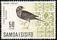 Island Thrush Turdus poliocephalus