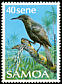 Mao Gymnomyza samoensis  1988 Birds 