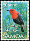 Cardinal Myzomela Myzomela cardinalis  1988 Birds 