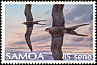 Great Frigatebird Fregata minor  1989 Birds 