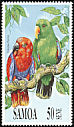 Eclectus Parrot Eclectus roratus  1991 Parrots 