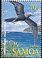 Brown Noddy Anous stolidus  2004 Seabirds of Samoa 